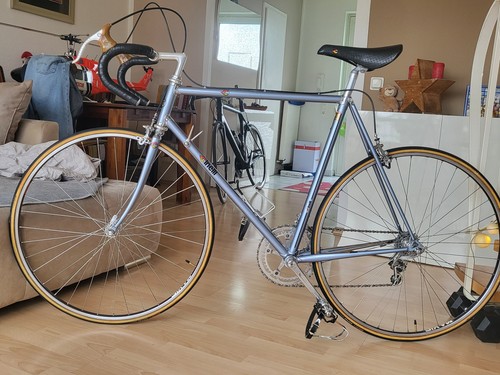Cinelli supercorsa azzur laser - cinelli,