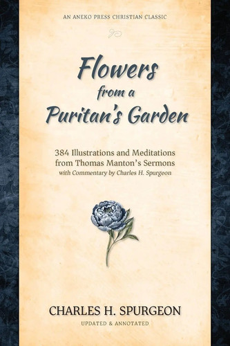 Flowers from puritan s - flowers, puritan's