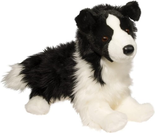 Douglas chase border collie - chase,