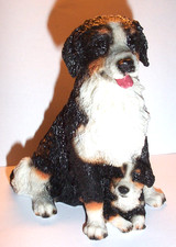 Schöner BERNER SENNENHUND mit