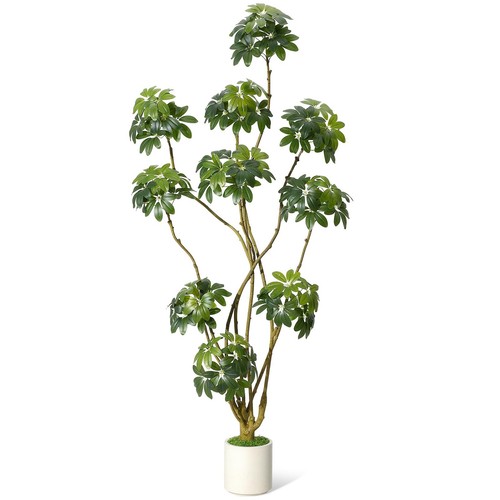 150 180 210cm scheffler - 150/180/210cm,