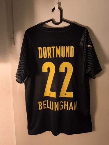 Bvb borussia dortmund 2021 - borussia, 2021-22