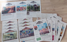 Tomorrowland Today Zeitungen diverse Jahre von 2013 bis 2024