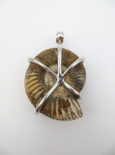 Anhänger XL Ammonit 925