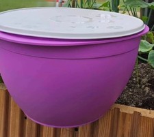 Tupperware Maximilian