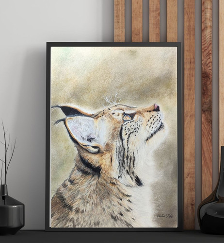 Luchs buntstiftzeichnung - luchs,
