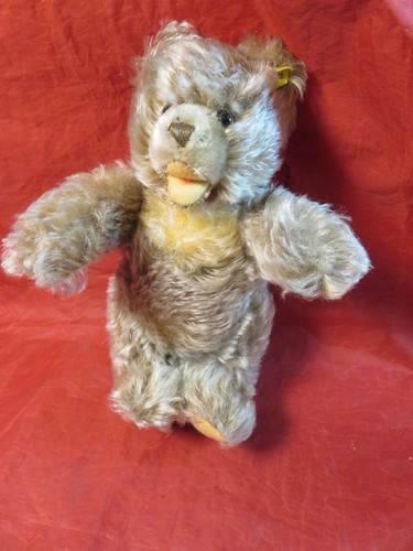 Steif bär teddybär - steif, bär,teddybär,zotty