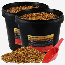 2 x 10 Liter Mehlwürmer im Eimer Koifutter Vogelfutter Reptilien Fische+Schaufel