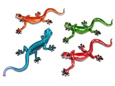 Lurch Geko Salamander Tier