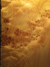 2 Blatt Ahorn Holzfurnier