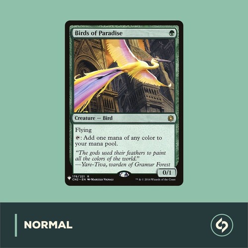 Mtg birds paradise - birds, of