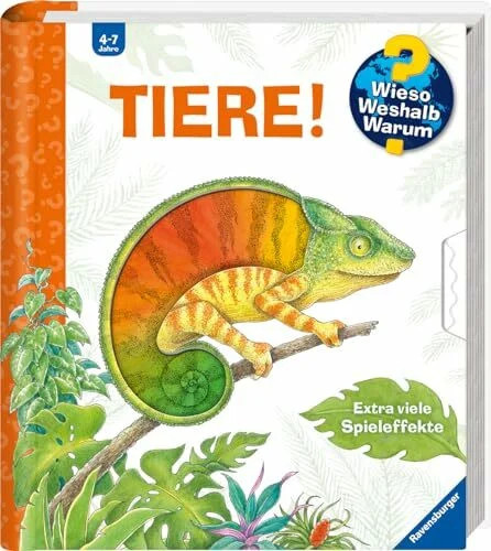 Wieso weshalb warum - wieso?,