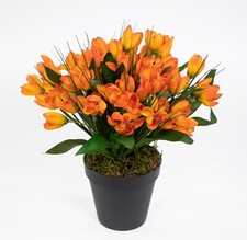 Krokusbusch 28cm orange im