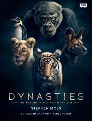 Dynasties rise fall of - fall,