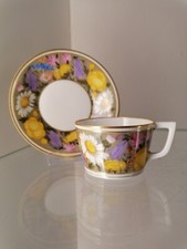 Nymphenburg rare Sammeltasse