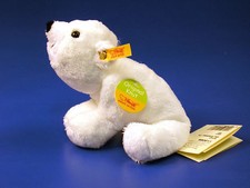 + KNUT IST TOT + STEIFF