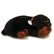 Perfect Petzzz 96163 Rottweile