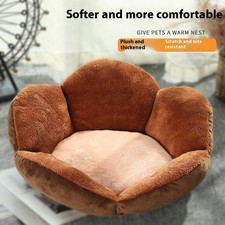 Internet Celebrity Dog's Paw