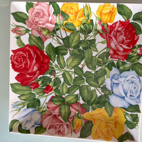 Taitù rose teller cm - rose, 28