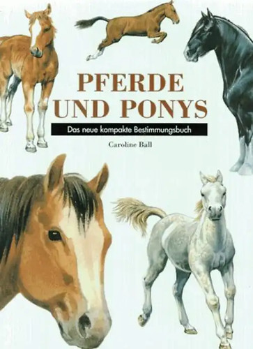 Pferde und ponys - und,
