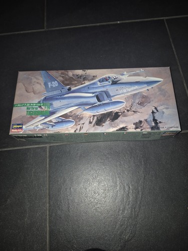 Hasegawa 604 northrop - 1/72,