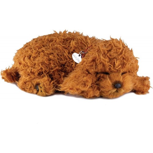 Perfect petzzz 96545 - petzzz,