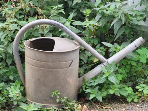 Alte zinkgießkanne gießkanne - alte,