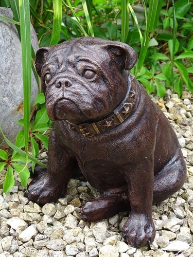 Bronzefigur hund bulldogge - bronzefigur,