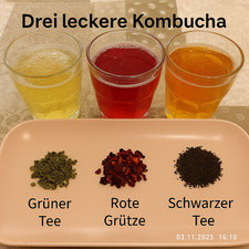 Kombucha Scoby Starter Kit 3