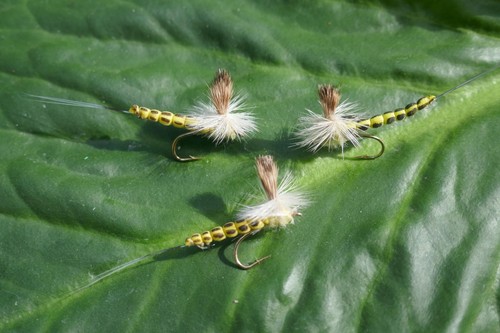 Mayfly extended body - 4,