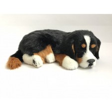 Perfect Petzzz 96644 Berner