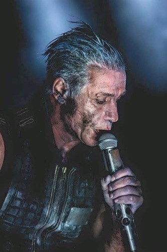 Foto till lindemann - foto, nr.