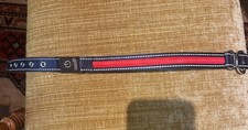 Hundehalsband - Leuchtband