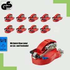 10x Profi Spanngurt Zurrgurt