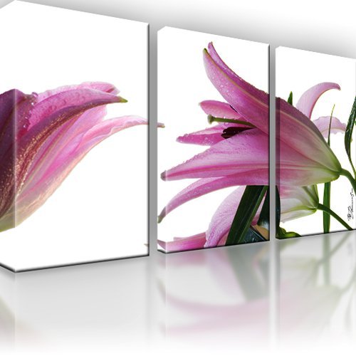 Lilie blume bild teilig - blume, 3