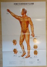 Akupunktur-Poster  Papier /