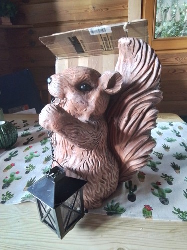 Eichhörnchen herbi mit - eichhörnchen,