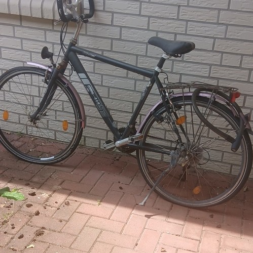 Gerl trekkingrad phil - gerl,