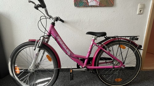 Pegasus kinderfahrrad mit - kinderfahrrad,