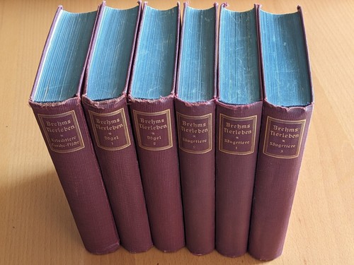 Brehms tierleben 1924 - brehms, (6