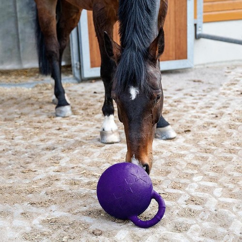 Pferd spielzeug spiel ball - spielzeug,