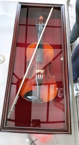 Violin display case ukulele - violin,