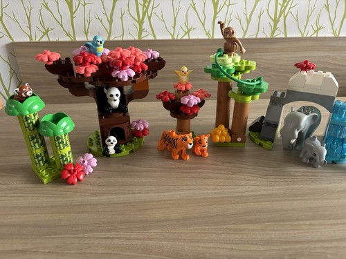 Lego duplo wilde - wilde, asiens