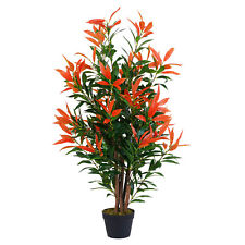Künstliche PHOTINIA