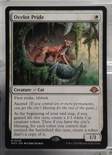 Ocelot Pride / Ozelot-Rudel -