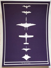 MARK DION - The Aerial Realm