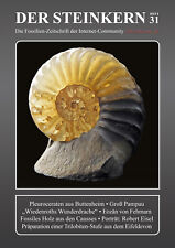 DER STEINKERN 31: Buttenheim -