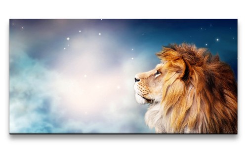 120x60cm leinwandbild löwe - leinwandbild,