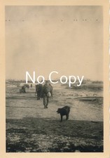 Foto gebirgsjäger nordfront - foto,