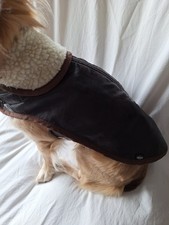 Winter Hundemantel  Warmfutter, Leder  von Trixie  Größe  XS braun